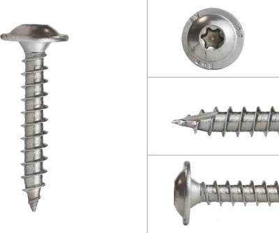 Immagine prodotto di Viti a testa bombata A2 in acciaio inox 8 x 50 mm Torx 40 - confezione da 100 pezzi