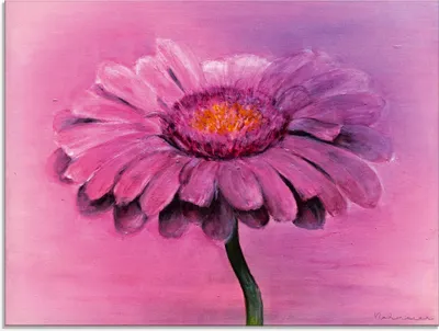 Produktbild von ARTland Glasbild Gerbera Größe: 60x45 cm