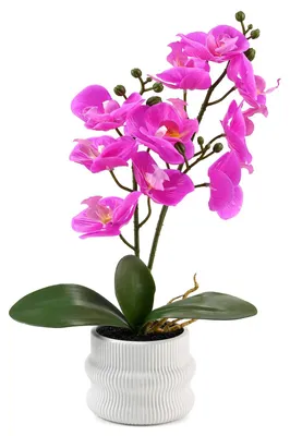 Kunstorchidee, rosa, 41 cm, im weißen Rippentopf