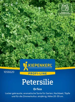 Artikelbild 2 von 'Petersilie Orfeo' aus der Kategorie Petersiliensamen