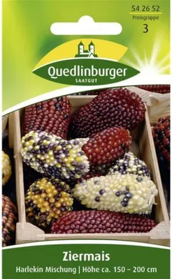 Produktbild von Ziermais, Harlekin