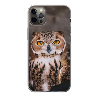 Produktbild von MuchoWow® Handyhülle Schutzhülle Hülle für iPhone 13 Pro Max Braune Eule schaut direkt in die Kamera Silikon Softcase Handy Hülle - Mobiltelefon
