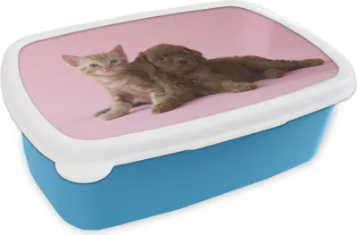 Produktbild von KitchenYeah® Lunchbox Brotzeit Brotdose 17x11 cm Katze - Hund - Rosa Kinder Brotzeitdose - Lunch - Kunststoff  - Brotbüchse - Sandwichbox - Lunchbox für Kinder