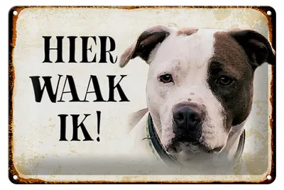 Produktbild von Blechschild Spruch 30x20cm holländisch Hier Waak ik American Pitbull Terrier