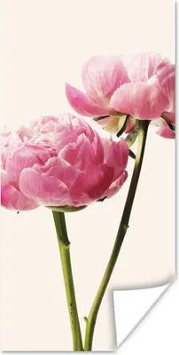 Produktbild von MuchoWow® Poster Blumen - Blüte - Rosa 20x40 cm - Plakat - Foto