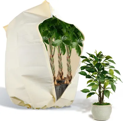Image de Bettizia 2x protection hivernale 200x240cm pour plantes en bacs palmiers protection hivernale plantes non tissé jardin 100g/m