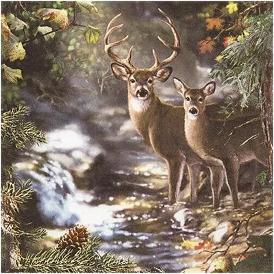 Produktbild von 20 Servietten Deers on a creek - Hirsche am Bach 33x33cm