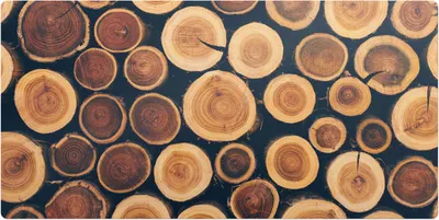 Produktbild von Holzkreise– Schreibtischunterlage – Schreibtisch Tischunterlage – 120x60 cm – Unterlage Groß Schreibtischmatte