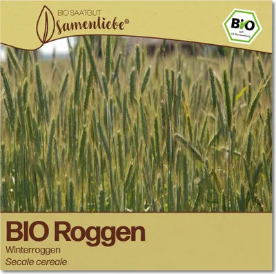 Produktbild von Roggen Samen Winterroggen Blumen-Samen Saatgut Roggensamen