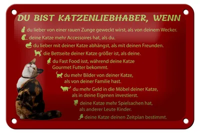 Produktbild von Blechschild Spruch 18x12cm du bist Katzenliebhaber wenn