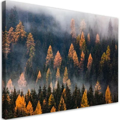 Produktbild von Leinwandbild Herbstliche Baumlandschaft 60x40 Feeby Grün bild für die wand bereit zum aufhängen