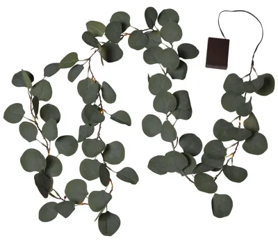 Immagine prodotto di Star Trading Mini catena luminosa a LED Eucalipto