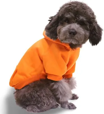 Produktbild von Sweatshirt Poly für Hund Orange M