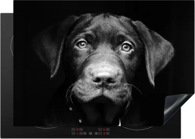 Produktbild von KitchenYeah© Herdabdeckplatte Hund - Leicht - Schwarz , 75x52cm, Küche Deko, Glaskeramikkochfeld Herdabdeckung, Abdeckplatte fùr Kochfeld