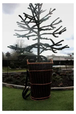 Produktbild von Kiepe mit Tragegurt aus Weide 53x48x75cm Rückentragekorb Winzerkiepe Weidenkiepe Huckelkorb Holzkorb Heukorb Erntekorb Tragekorb
