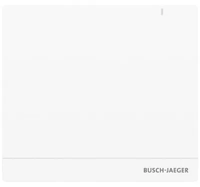 Produktbild von BJ System Access Point 2.0 SAP/S.13 (2CKA006200A0154)
