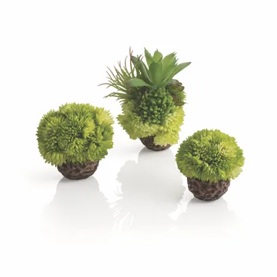 Obrázek produktu pro biOrb coral ball set green