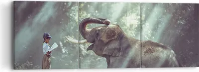 Produktbild von Bild auf Leinwand - Leinwandbild - Elefant Dschungel Stoßzahn - 90x30cm - Wand Bild - Wanddeko - Leinwanddruck - Bilder - Kunstdruck - Wanddekoration - Leinwand bilder - Wandkunst - CA90x30-3486