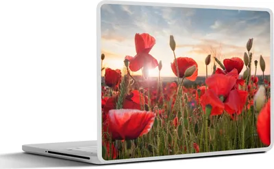 Produktbild von MuchoWow® Laptop Aufkleber Sticker Cover Sonnenuntergang hinter den schönen Mohnblumen 32.5x23.5 cm - Sticker für Laptop - Selbstklebend