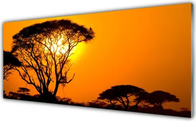 Produktbild von Glasbilder 125x50 Wandbild Druck auf Glas Bäume Sonne Natur