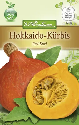 Produktbild von Hokkaidokürbis Red Kuri | Hokkaidokürbissamen von N.L. Chrestensen