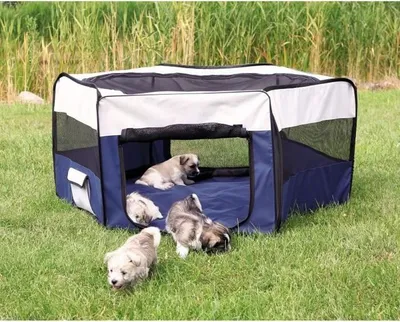 Obrázok produktu pre TRIXIE Oplotený výbeh pre malé zvieratá, Ø 150 x 65 cm, so sieťkou a podlahou, tyrkysová a svetlošedá, skladací, s taškou na prenášanie
