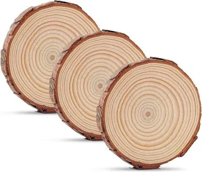 Image de Disques en bois, lot de 3 - 20-22 cm - non percés - épaisseur 20 mm - Disques en bois - Articles de bricolage - Disque en bois