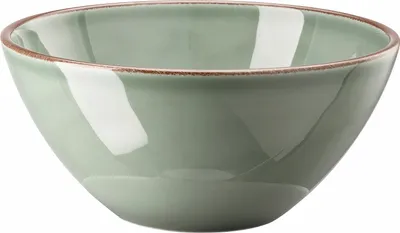 Imagen del producto de Rosenthal Bowl 22 cm Profi Casual Moss Porzellan Grün-Braun  10660-405405-10569