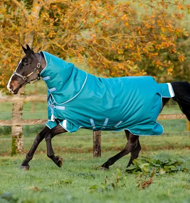 Produktbild von Horseware Amigo Bravo 12 Plus Regendecke Heavy 400g Storm Green/ Turquoise, Aqua & Blue mit Halsteil, Größe:6'0