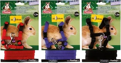 Image de Harnais pour rongeurs en nylon avec laisse, assortiment de couleurs « Flamingo lapin »