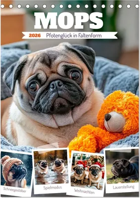 Immagine prodotto di MOPS "Poten-glück" in formato pieghevole (calendario da tavolo 2026, formato DIN A5 verticale), calendario mensile CALVENDO