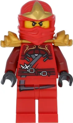 LEGO Ninjago: Cole ZX ze złotą bronią Klocki LEGO