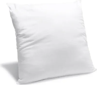 Image de Bleu Calin Oreiller Ferme Anti-acariens 60x60cm