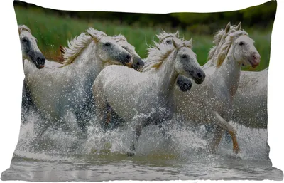 Produktbild von MuchoWow® Outdoor Kissen - Pferde - Wasser - Natur - 60x40 cm - Wetterfest - Lounge Kissen - Zierkissen - Kissen für Innenräume