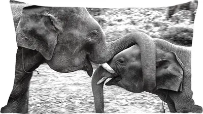 Produktbild von MuchoWow® Zierkissen Sofakissen Wohnzimmer Dekokissen 50x30 cm Elefant - Tiere - Natur - Schwarz und weiß - Wohnzimmerdekoration - Polster mit Photo