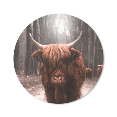 Produktbild von MuchoWow® Mauspad Mousepad Schottischer Hochländer - Wald - Kuh - Tiere - Natur 50x50 cm - Mousepads - Maus Mat - Pad - Mausunterlage - Vinyl