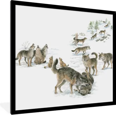Produktbild von MuchoWow® Gerahmtes Poster Wölfe - Schnee - Winter 40x40 cm - Poster mit Schwarzem Bilderrahmen Wandposter Rahmen Foto Bilder - Mit Rahmen - Wanddekoration Schlafzimmer