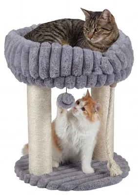 Produktbild von KOMFOTTEU Kratzbaum klein mit weicher Sitzfläche , 2 Sisalstämmen & Spielball