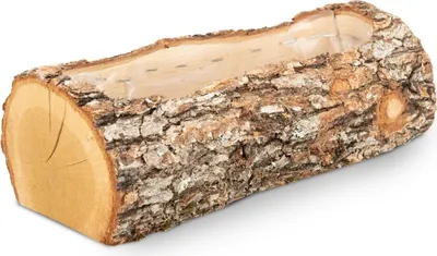 Produktbild von Eichen Pflanzenschale, Länge ca. 29cm | Eichen Holzstamm zum Bepflanzen