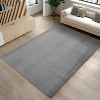 Image de Carpetsale24 Tapis Lavable à Poils Courts Antidérapant et Doux Design Uni Moderne pour Salon et Chambre à Coucher, Taille: 200x290 cm