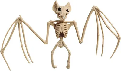 Immagine prodotto di Animale scheletro decorazione Halloween pipistrello inquietante sfondo spaventoso scultura casa stregata animale modello cimitero orrore decorazione sorpresa Festival Mood, Colore: Beige
