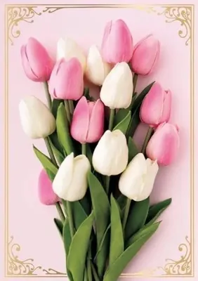 Image de Carnet B6 PP-2142 Fleurs (sans texte) - Kukartka
