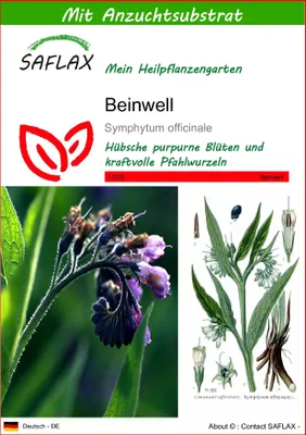 Produktbild von SAFLAX - Heilpflanzen - Beinwell - 15 Samen - Mit keimfreiem Anzuchtsubstrat - Symphytum officinale