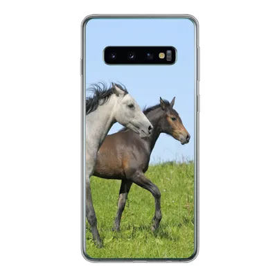 Produktbild von MuchoWow® Handyhülle Schutzhülle Hülle für Samsung Galaxy S10 Pferde - Tiere - Gras Silikon Softcase Handy Hülle - Handytasche
