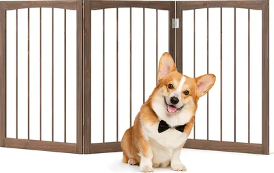 A corgi dog wearing a bow tie sits in front of a wooden pet gate.
