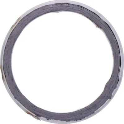 Obrázok produktu pre Tesnenie výfukového potrubia pre Gilera Runner 180 FXR DT 2T, rok výroby 1997–1999, od pamoto –