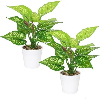 Immagine prodotto di Set di piante artificiali, 2 pezzi, 29 cm, verde, per interni ed esterni