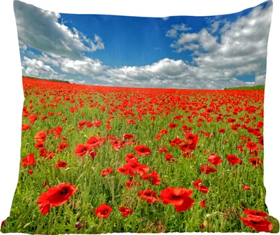 Produktbild von MuchoWow® Zierkissen Sofakissen Wohnzimmer Dekokissen 50x50 cm Schneeweiße Wolken über einem Mohnblumenfeld - Komfort - Sofakissen