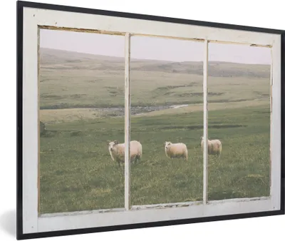 Produktbild von MuchoWow® MuchoWow® Gerahmtes Poster Durchschauen - Schafe - Gras 90x60 cm - Poster mit zchwarzem Bilderrahmen - Fotorahmen - Foto-Plakat