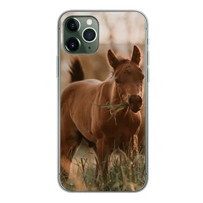 Produktbild von MuchoWow® Handyhülle Schutzhülle Hülle für iPhone 11 Pro Pferd - Sonne - Gras Silikon Softcase Handy Hülle - Handy